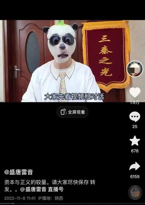 盛唐雷音爆料视频大全集,揭秘唐朝风云变幻