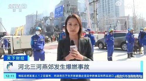 白姓记者爆料视频大全集,视频大全集深度解析